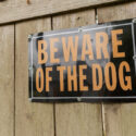 How Dogs Help With Home Security