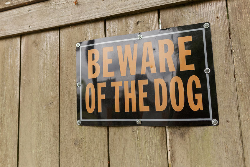 Beware of the Dog Warning Sign on the Wooden Fence